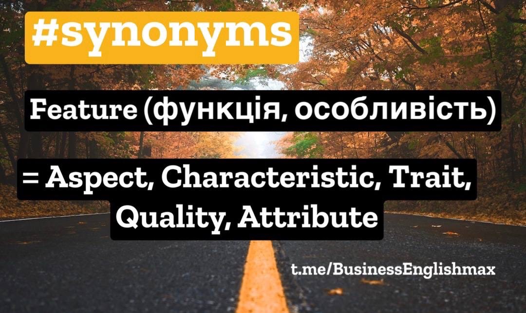 #synonyms
Feature (функція, особливість) = Aspect, Character