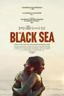 The Black Sea

https://www.rottentomatoes.com/m/the_black_se